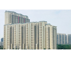 DLF The Camellias Gurgaon – Exclusive Luxury Rentals - 1/1