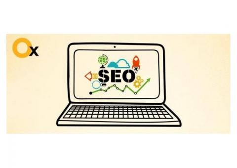 Top SEO Agencies in Delhi | iBrandox™