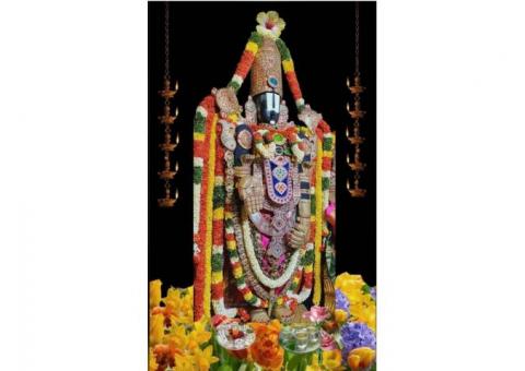 One day Package from chennai to tirupati by car