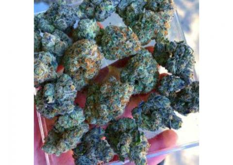 EXOTIC TOP MEDICAL MARIJUANA