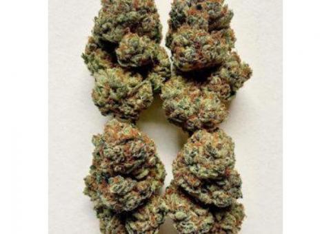 EXOTIC TOP MEDICAL MARIJUANA N CARTS