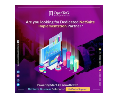 OpenteQ Is Top NetSuite Services providers.