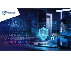 Secure Your Systems Now With Hedge Mount VAPT - 1/1