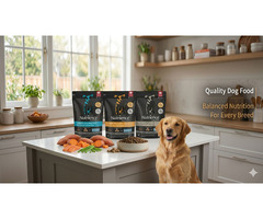Nutrience Dog Food for Healthy Skin & Coat