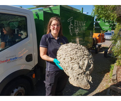 Wasp Nest Removal Poole Wareham at Urban Pest Control