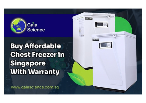 Best Price Chest Freezer Singapore with Warranty Options
