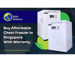 Best Price Chest Freezer Singapore with Warranty Options