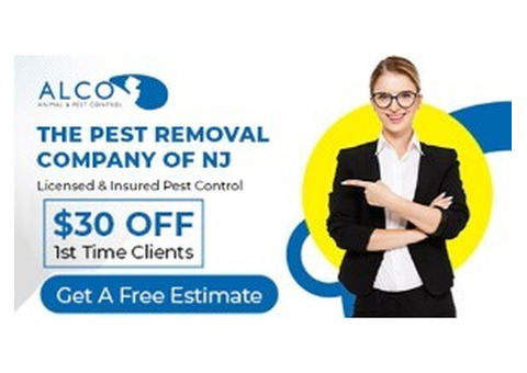 Pest Control in NJ in the Spring – ALCO Animal & Pest Control