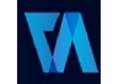 Company Valuation - Virtual Auditor Pvt Ltd 