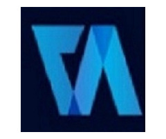 Company Valuation - Virtual Auditor Pvt Ltd 