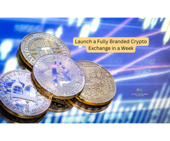 Launch a Fully Branded Crypto Exchange in a Week