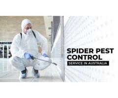 Spider Pest Control Service in Australia