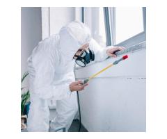 Pest Control Services in Australia