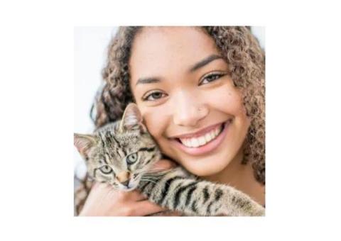 Obsessive-Compulsive Disorder Treatment San Francisco