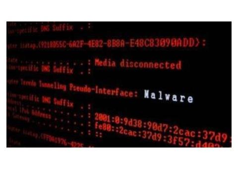 Reliable Computer Repair Services in Novi