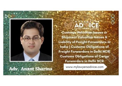 Customs Obligations of Freight Forwarders in Delhi NCR