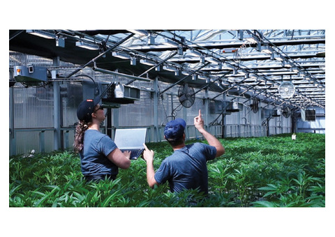 All-in-One Grower Management Software for Greenhouse Operations