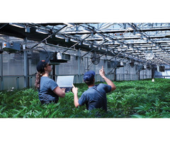 All-in-One Grower Management Software for Greenhouse Operations