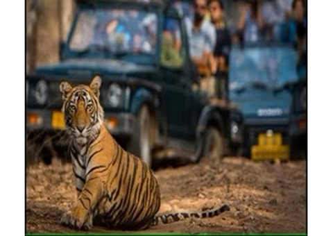 Enjoy a Thrilling Corporate Outing in Jim Corbett with Nature