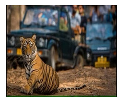Enjoy a Thrilling Corporate Outing in Jim Corbett with Nature