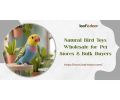 Natural Bird Toys Wholesale for Pet Stores & Bulk Buyers