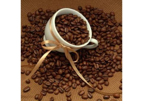 Wholesale Cocoa Cacao and Coffee