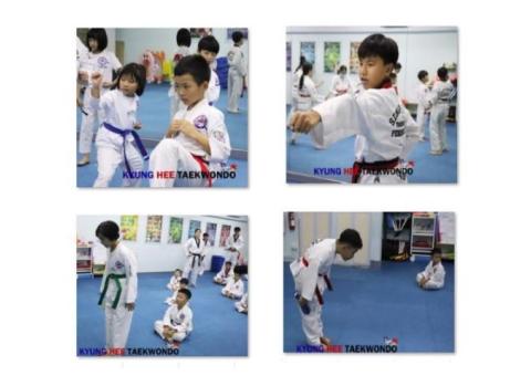 TKD was not just abt kicking etc., but also abt acting honorably etc.