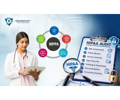 HIPAA Compliance Audit Services India – Hedge Mount