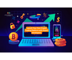 Launch Your Own Crypto Trading Platform with Expert Developers