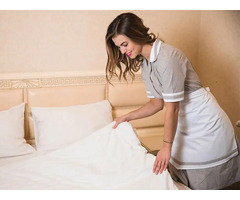 Mattress Cleaning Services in Adelaide – The Secret to a Healthier Bed