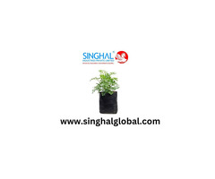 Enhanced Gardening Productivity Through Premium Nursery Bags
