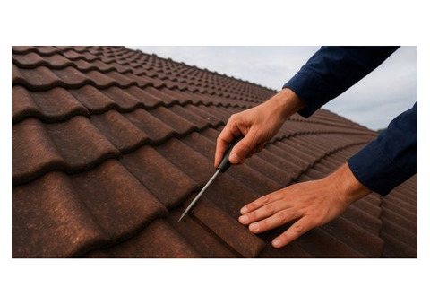 Best Roof Restoration Adelaide for Long-Lasting Protection
