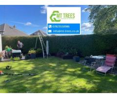 Your Top Choice for Tree Surgeon Expertise