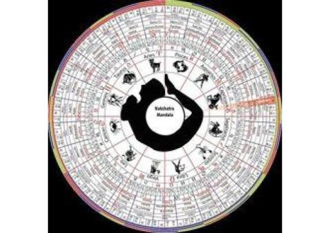 best indian astrologer in toronto