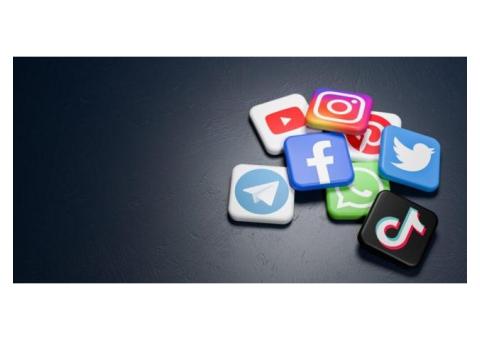 Roar Media: Miami's Premier Social Media Agency?