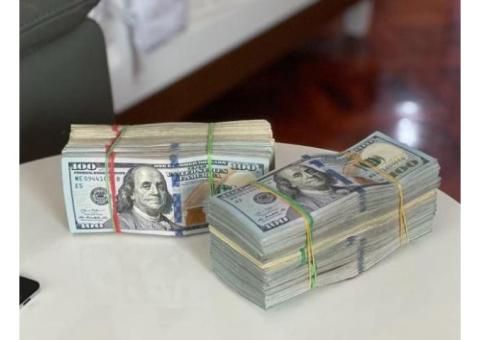 Duplicate US Dollars For Sale Online