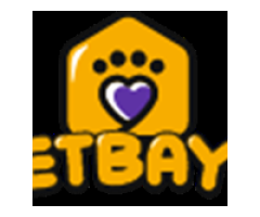 Convenient & Reliable: Wholesale Pet Supplies by PetBayt in UAE