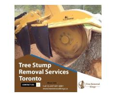 Best Tree removal companies in Toronto