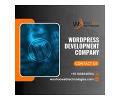 Professional Wordpress Development Company