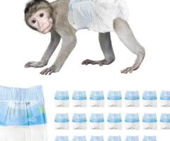 Reusable Primate® Disposable Monkey Diapers