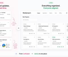 project reporting software