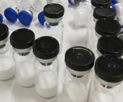 Semaglutide Peptide
