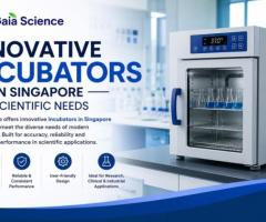 Innovative Incubators in Singapore for Scientific Needs