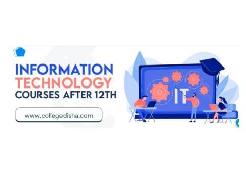 IT Courses After 12th
