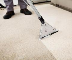 Fresh Carpets, Healthier Homes in Wollongong & Shell Cove