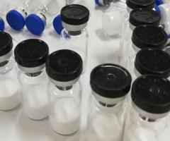 Semaglutide Peptide