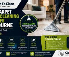 Best carpet steam cleaning services Melbourne
