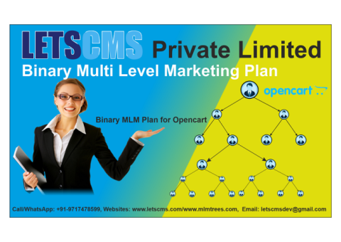 Best MLM Plan | Binary Multi-Level Marketing Plan ecommerce