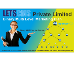 Best MLM Plan | Binary Multi-Level Marketing Plan ecommerce