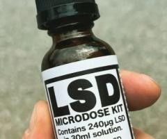 Buy Liquid LSD